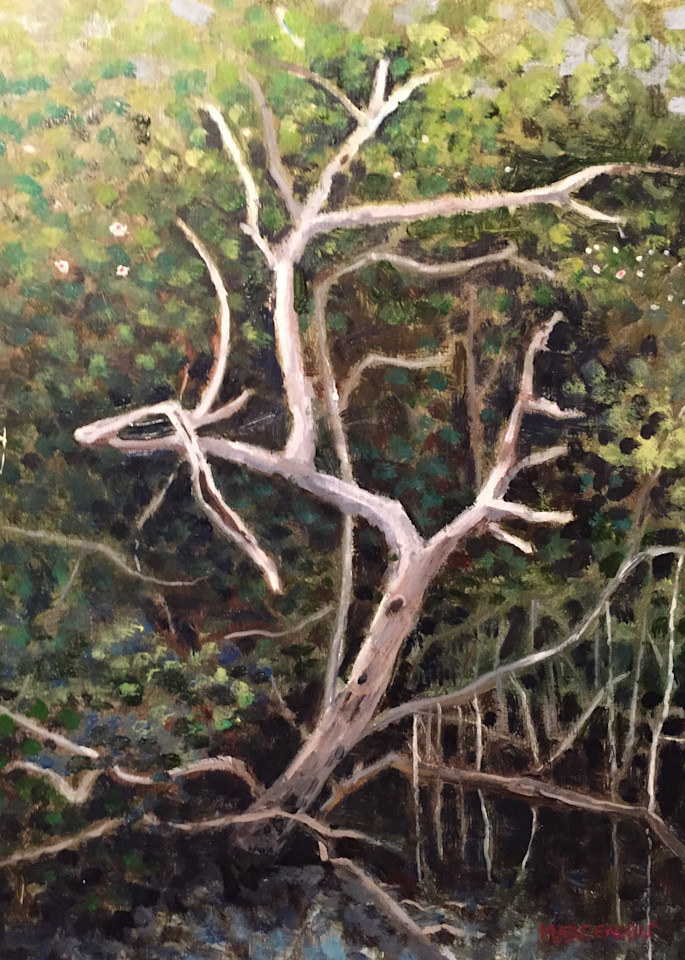 Ghost In The Mangrove Art | Al Marcenkus Art, LLC