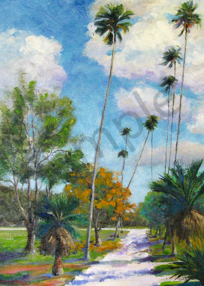 Washingtonian Palms  Art | Al Marcenkus Art, LLC