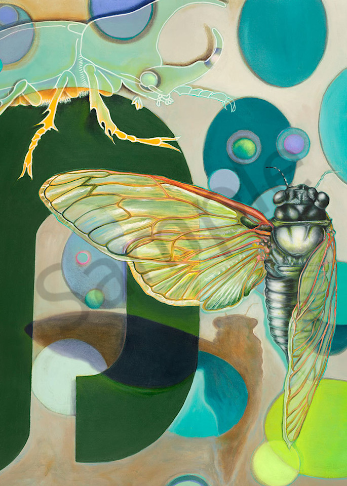 "Cicada 2" fine art print by Peter Koury.