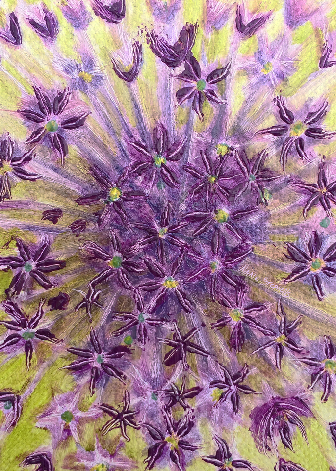 Order Allium Art,  Firework,  by Iowa Artist Marie Stephens