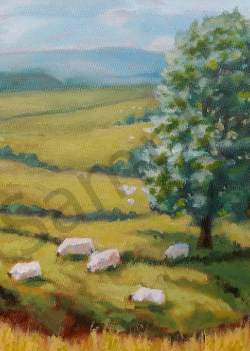 Sheep May Safely Graze Art | Strickly Art