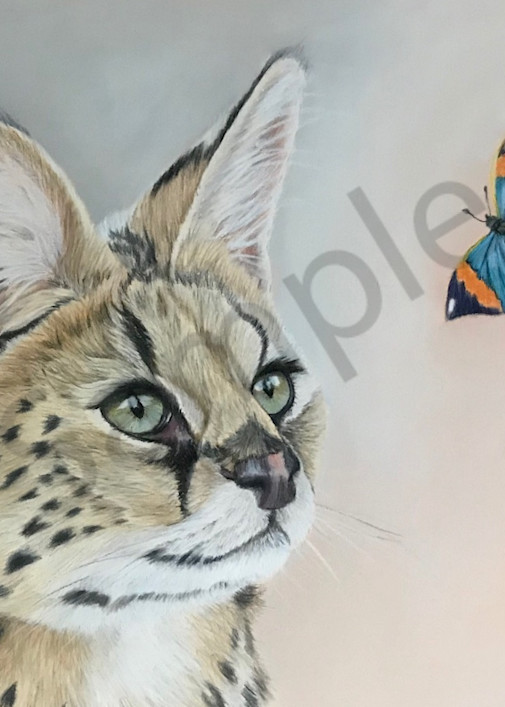 Serval Art | McAdamations