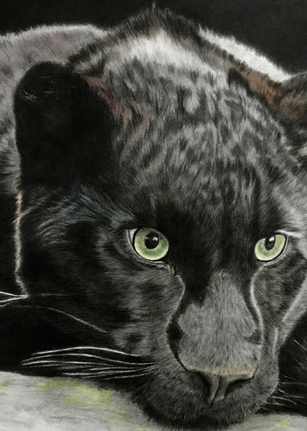 Black Jaguar Art | McAdamations