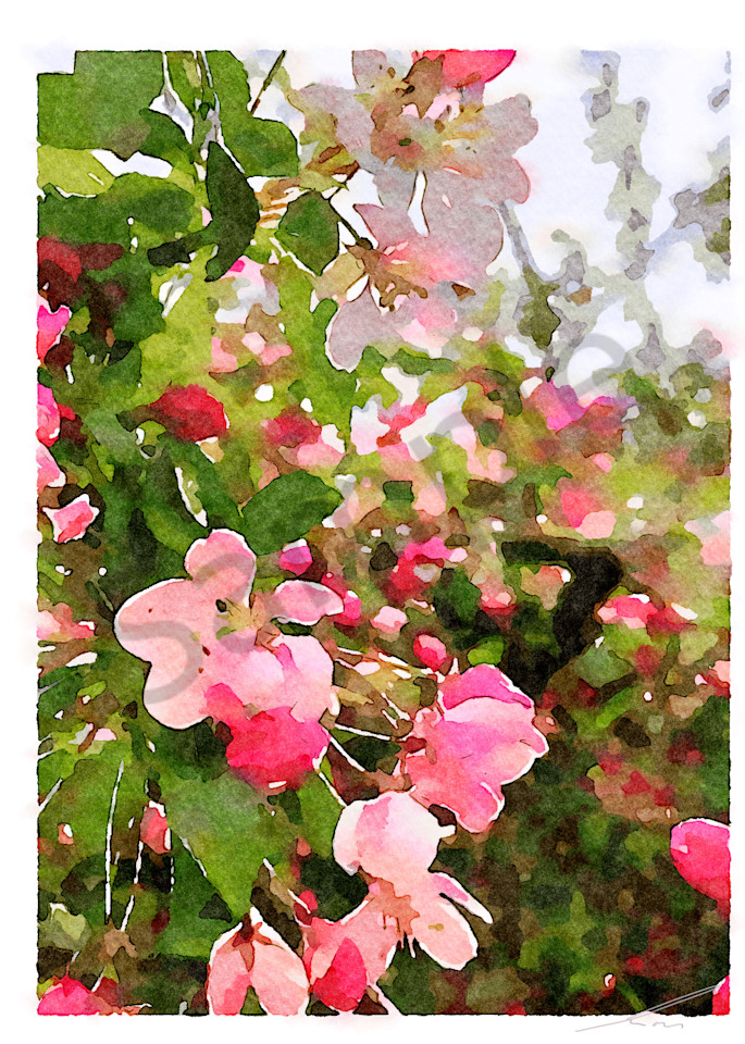 Island Cherry Blossom VI