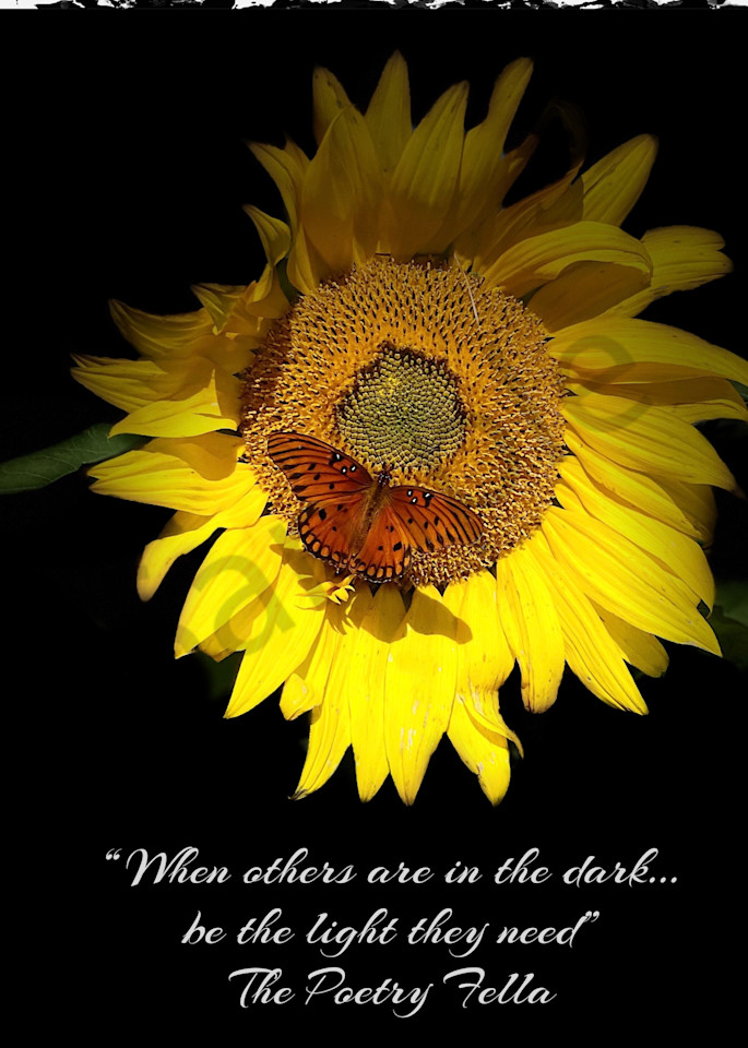 When Others Are In The Dark... Photography Art | The Poetry Fella