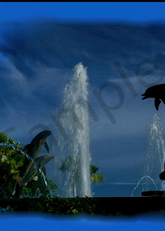 Blue Dolphin Vignette Photography Art | It's Your World - Enjoy!