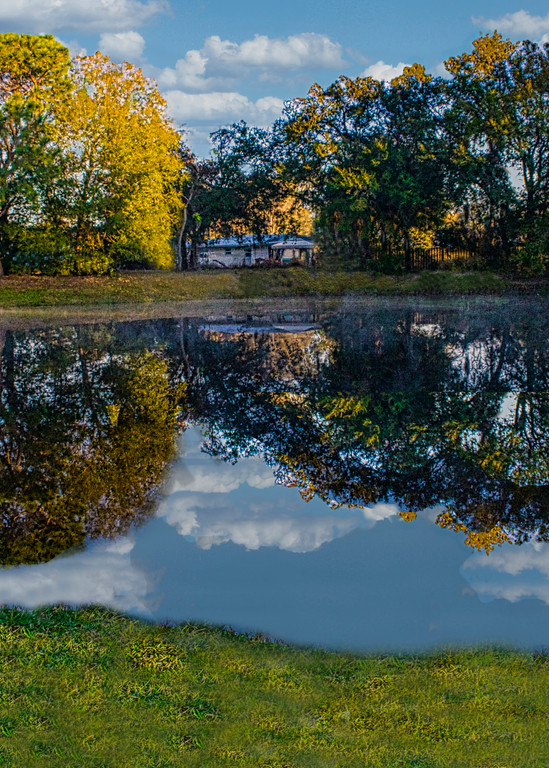 Reflected view of Pond at Sarasota Springs