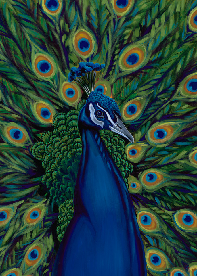 Colorful paintings of peacocks by Texas artist, John R. Lowery available as art prints.