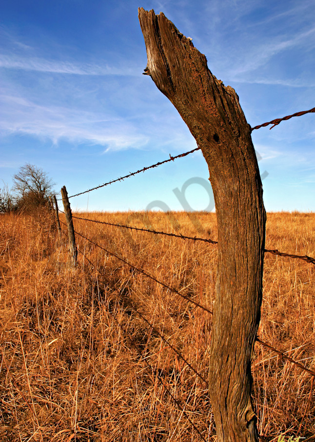 Tallgrass Prairie Fence Post Photography Art | johnkennington
