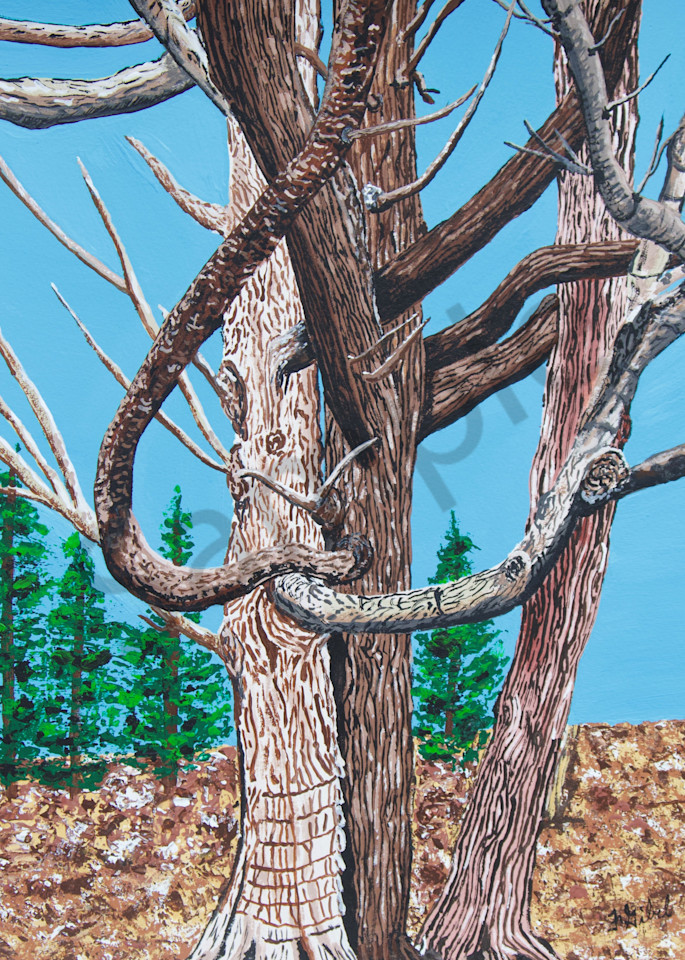 Print   The Hugging Trees Art | Francine's Fine Art, a division of Gibel and Associates Ltd.