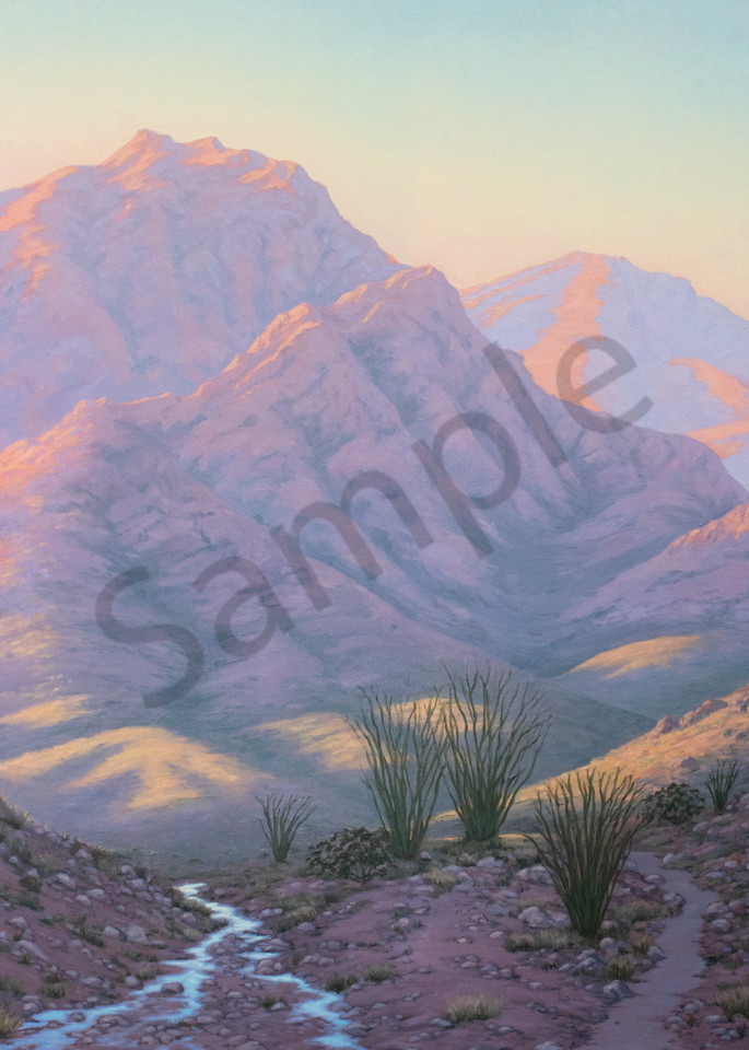 Spring Desert Morning Art | Terry Sauve Fine Art 