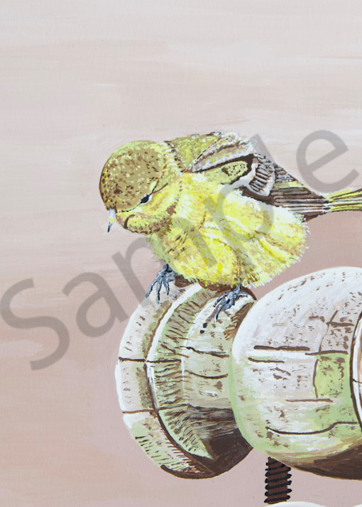 Print   Baby Bird's Perch Art | Francine's Fine Art, a division of Gibel and Associates Ltd.