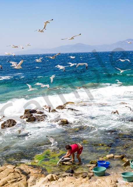 Greek Fisherman Art | Rama Tiru