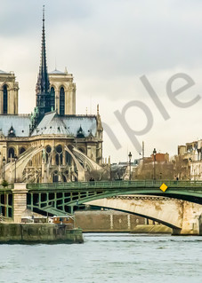 Notre Dame Panorama Art | Rama Tiru