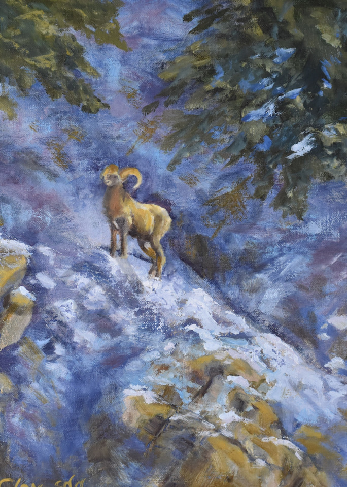 Colorado Mountain Goat Oil Painting By Debbie clay