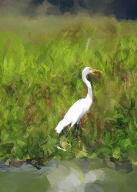 Great Egret On The Hunt   Gna Art | Windhorse