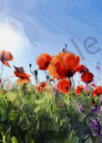 Poppys In The Morning   Gna Art | Windhorse