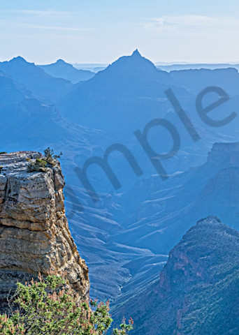 Duck On A Rock Viewpoint Of The  Grand Canyon Photography Art | johnkennington