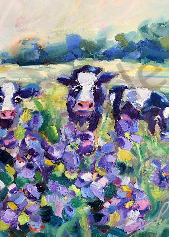 Cows In The Violets  Art | Sylvina Rollins Artist