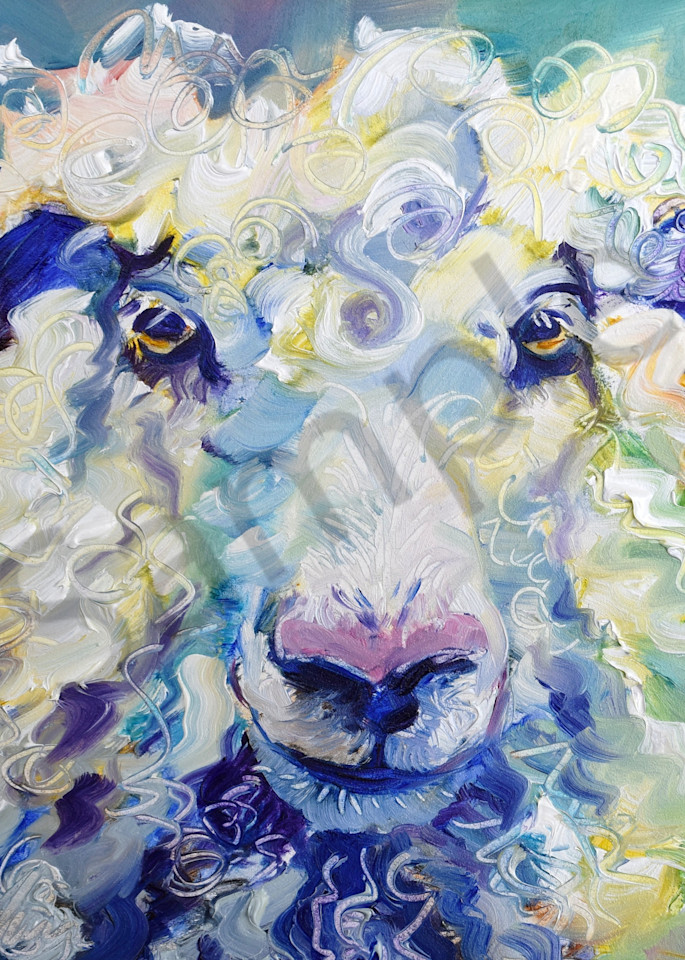 Smouldering Gaze Sheep Art | Sylvina Rollins Artist