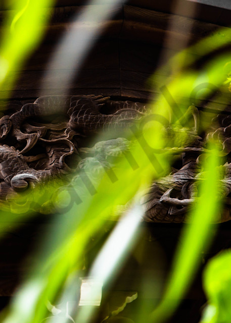 Willow Tree Branches Over A Japanese Wooden Dragon Photo 1 Photography Art | Photography by SC