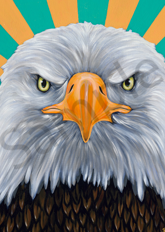 Colorful paintings featuring bald eagles,  by John R Lowery sold as art prints.