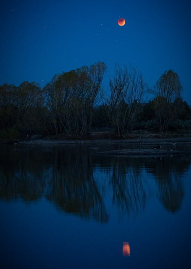 Blood moon eclipse reflected in pond photo by Barb Gonzalez Photography
