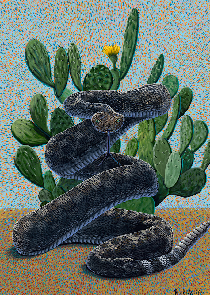 Colorful paintings featuring Texas landscapes and rattlesnakes,  by John R Lowery sold as art prints.