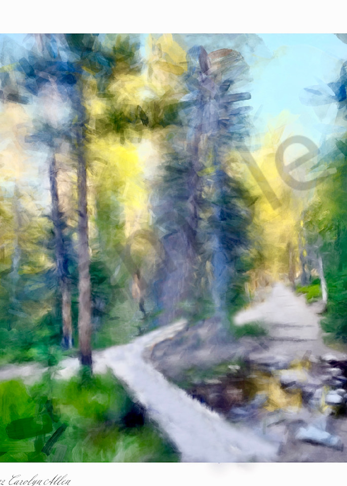 Open Pathway Through The Woods Art | Carolyn Allen