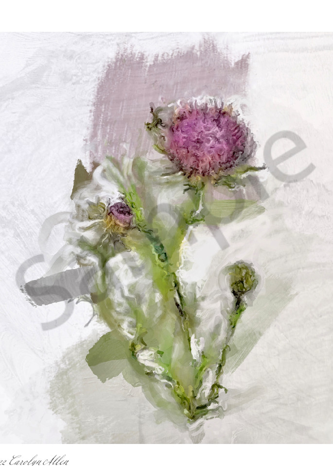 Purple Artichoke Blossom Art | Carolyn Allen