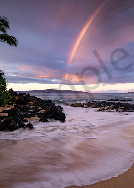Maui Surprise by Leighton Lum | Pictures Plus