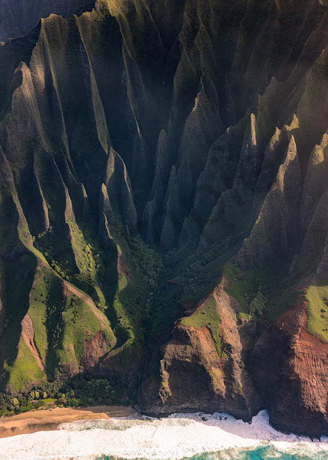 Cathedral Vertical by Leighton Lum | Pictures Plus