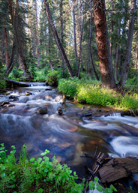 4407 Mountain Stream  Art | Cunningham Gallery
