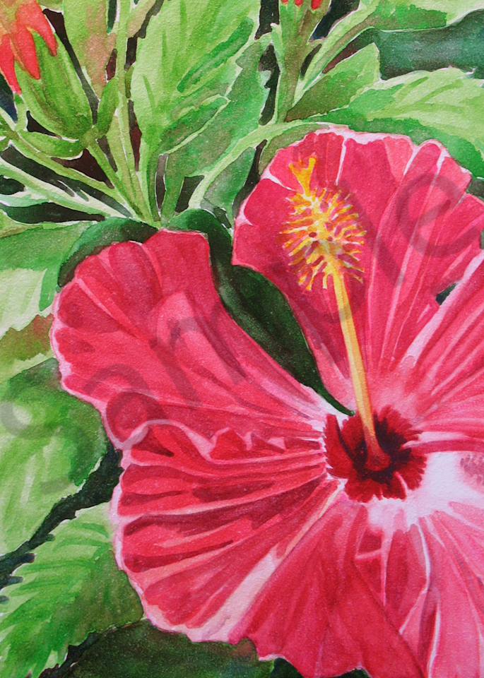 Tote Bag   Hibiscus 1 Art | Michele Tabor Kimbrough