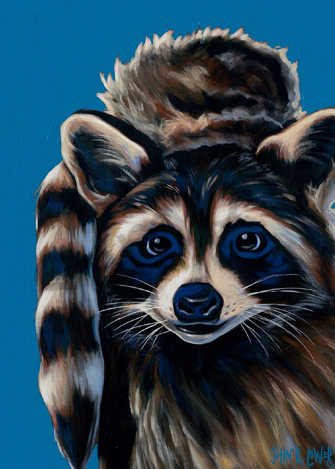 Painting of a raccoon wearing a raccoon cap by John R. Lowery, available as art prints.