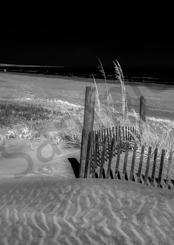 Fence Watching the Ocean