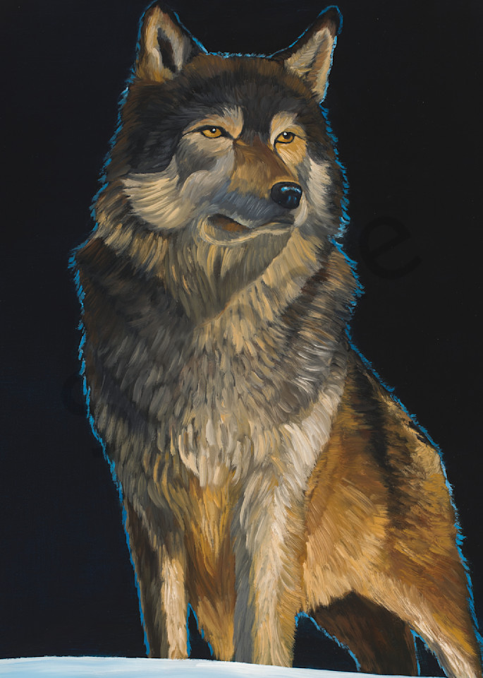 Midnight Wolf  Art | Ted Garcia Fine Art