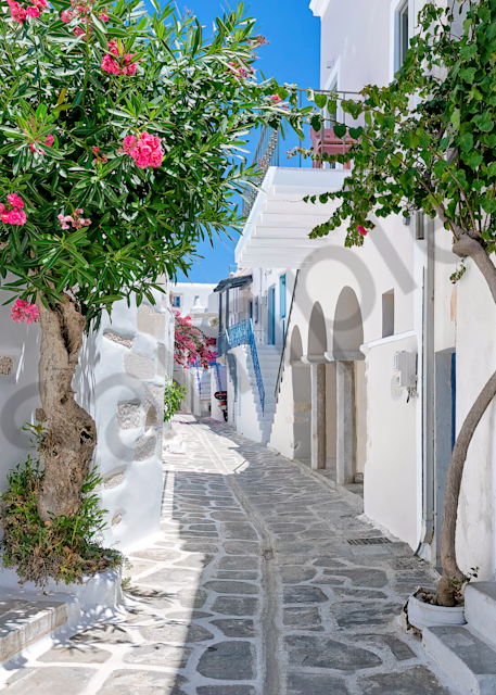 Art Print Parikia Paros Greece Whitewashed Alleys