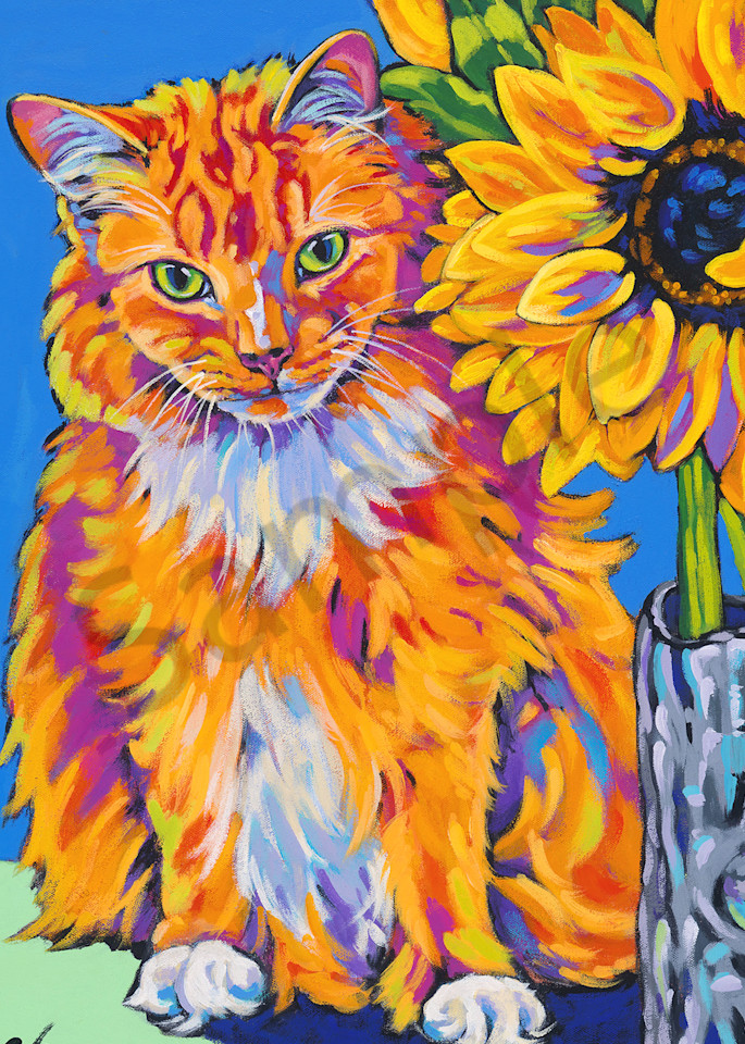 Roo  Art | Sally C. Evans Fine Art