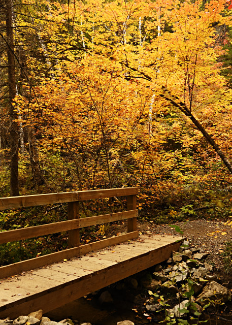 Bridge To Autumn Art | LHR Images