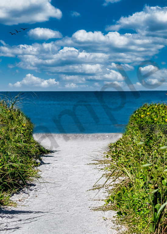 Path To Beach Photography Art | It's Your World - Enjoy!
