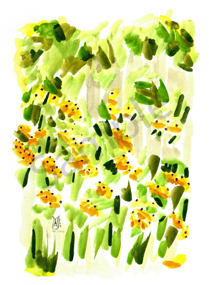 Black Eyed Susans in the Artist Garden Watercolor 2022 Marie Stephens Art