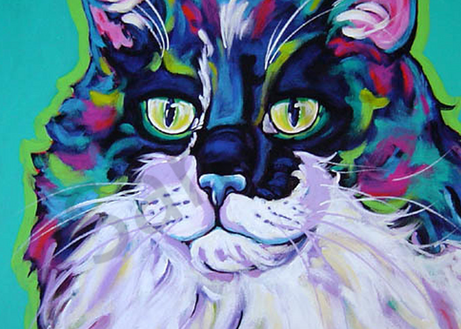 Tabby Art | Sally C. Evans Fine Art