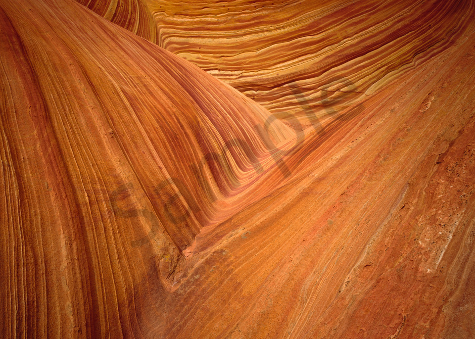 Sandstone, folded and eroded in the Paria Wilderness, northern Arizona