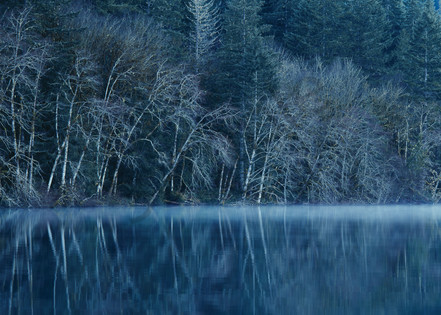 Fine art print of a forest reflecting into Crescent Lake on a misty morning, Olympic National Park, WA