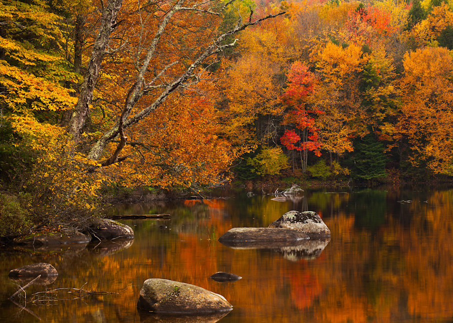An Autumn Pond Photography Art | Scott Cordner Photography