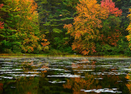 Autumn Reflection Photography Art | Scott Cordner Photography