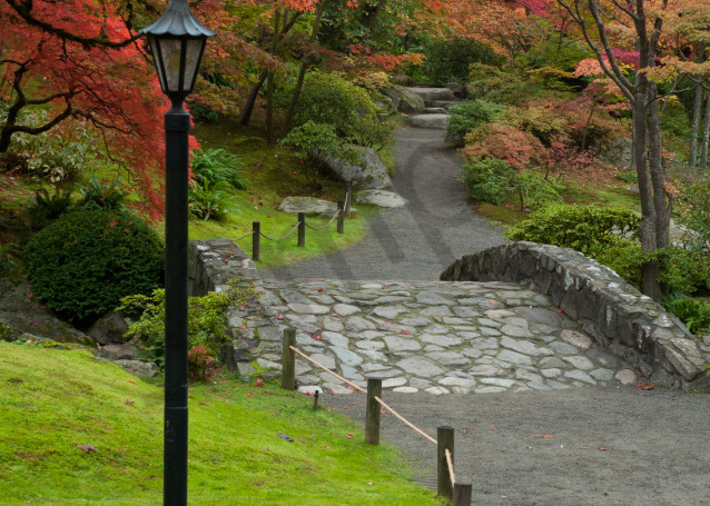 Fall colors and path, Japanese Garden, Seattle