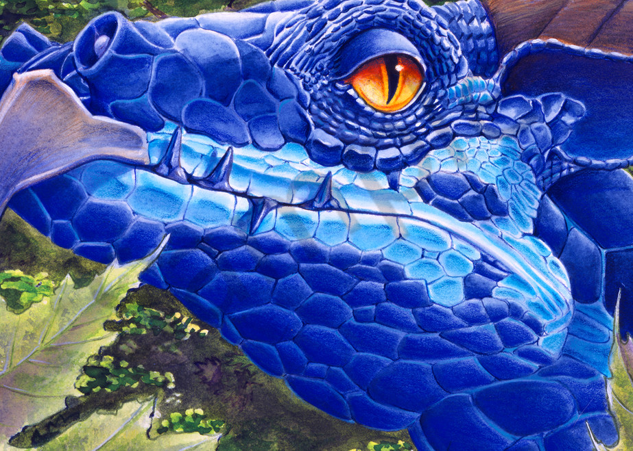 Blue Sapphire Dragon with Amber Eyes