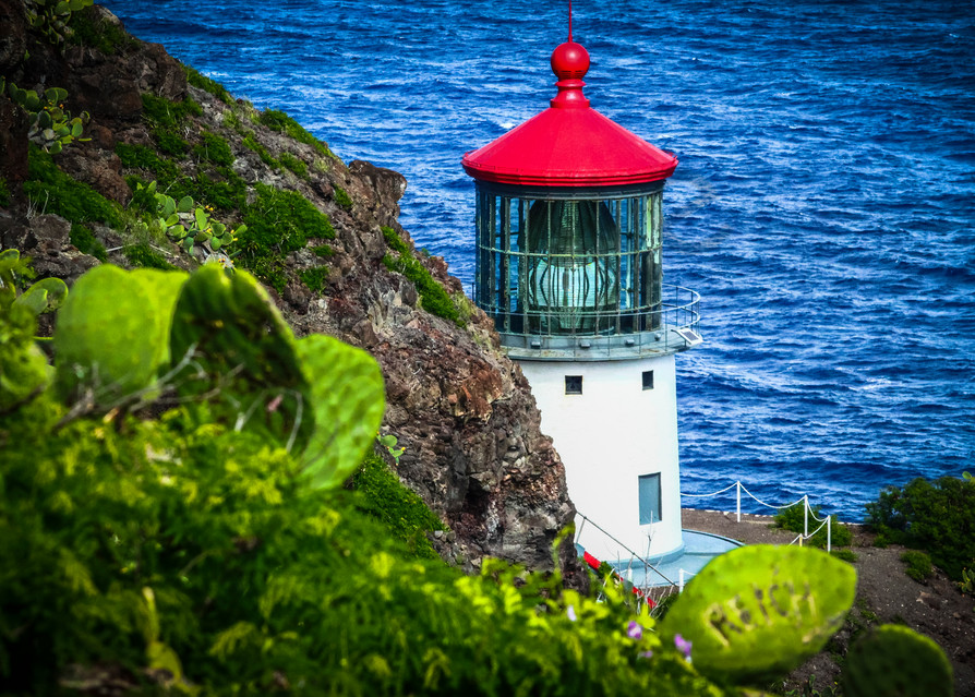Hawaii Photography  |  Little Red Top Hat by Shane Myers